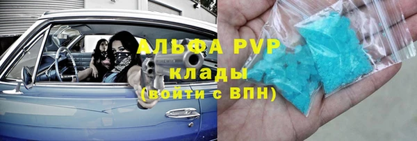 амф Каменка