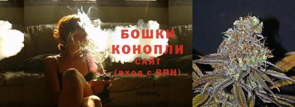 прущие грибы Каменногорск