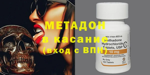прущие грибы Каменногорск