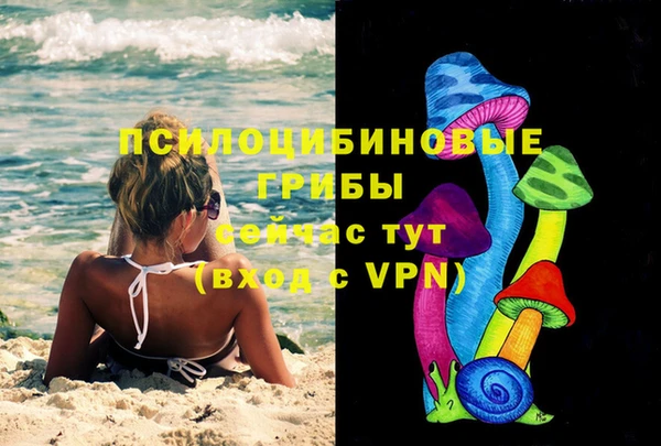прущие грибы Каменногорск