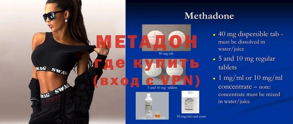 прущие грибы Каменногорск