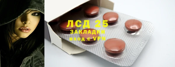 прущие грибы Каменногорск