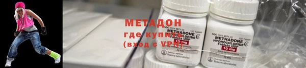 прущие грибы Каменногорск