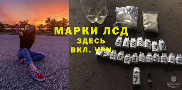 амф Каменка