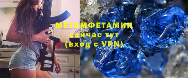 прущие грибы Каменногорск