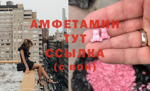 прущие грибы Каменногорск