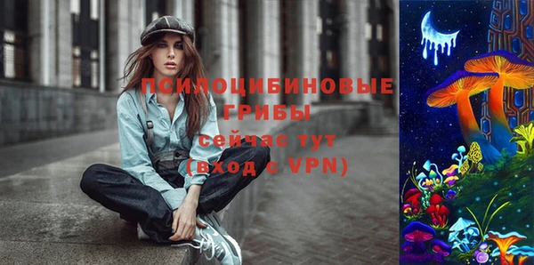 прущие грибы Каменногорск