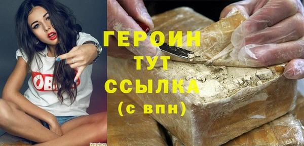 прущие грибы Каменногорск