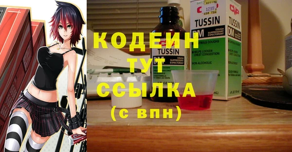 прущие грибы Каменногорск