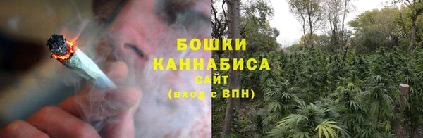 прущие грибы Каменногорск