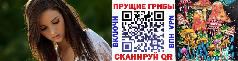 Купить где  Красновишерск  Галлюциногенные грибы мухоморы 
